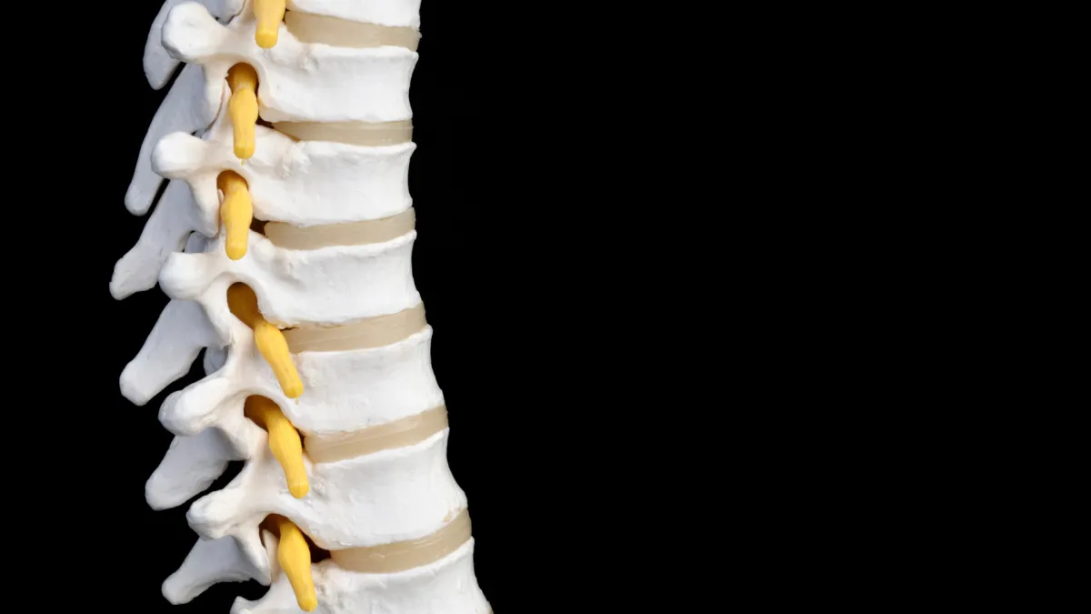 Expert spine clinic for posture correction and spinal realignment Plano TX