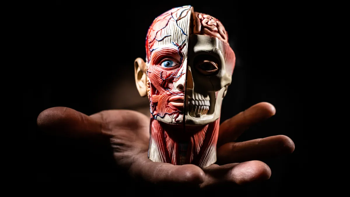 herniated disc therapy spinal doctor Richardson TX