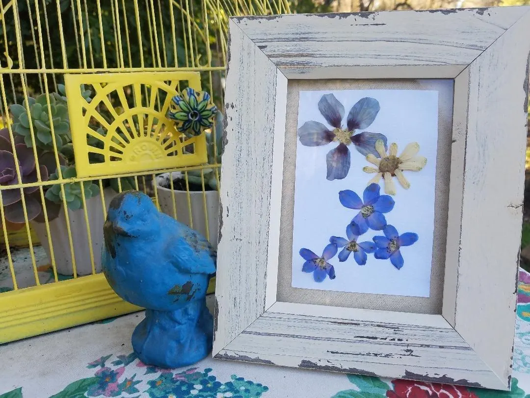 framing pressed flowers