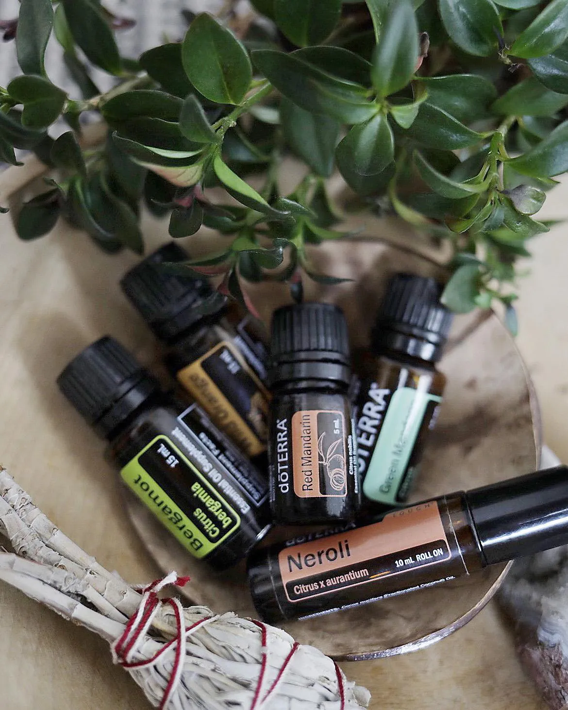 The Chemistry of Life 