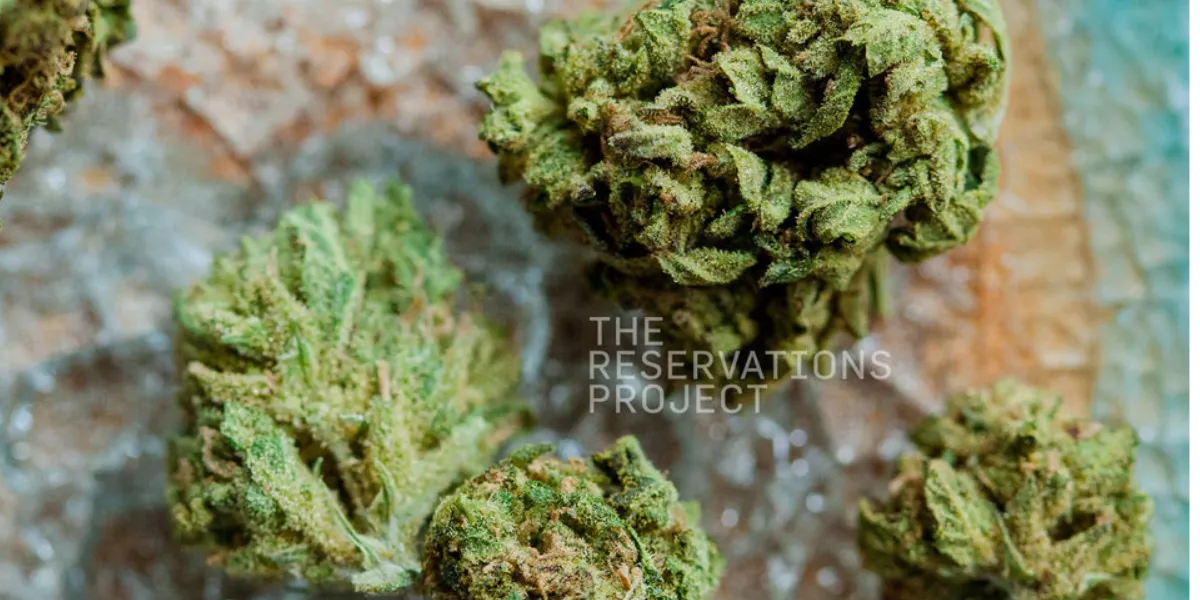 Cannabinoids Explained: How Flynnstoned Dispensaries Connect You to Natural Wellness