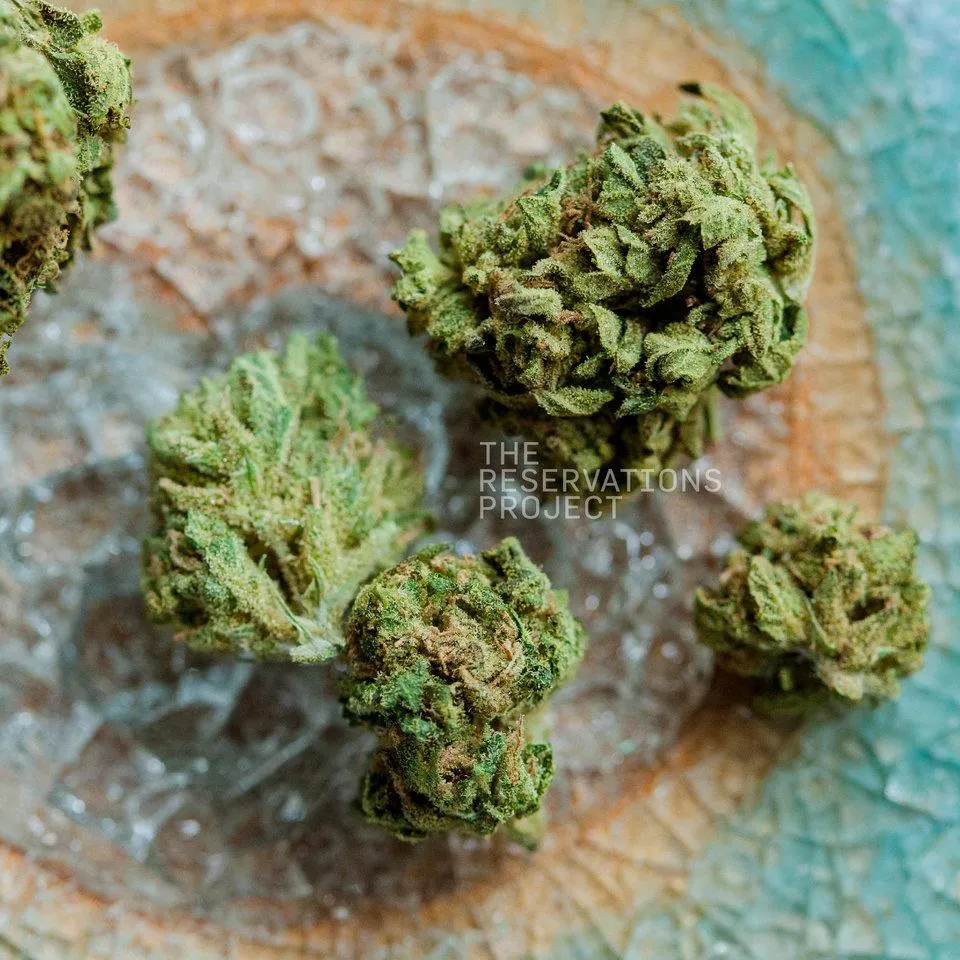 Everything You Need to Know About Blue Dream Flower