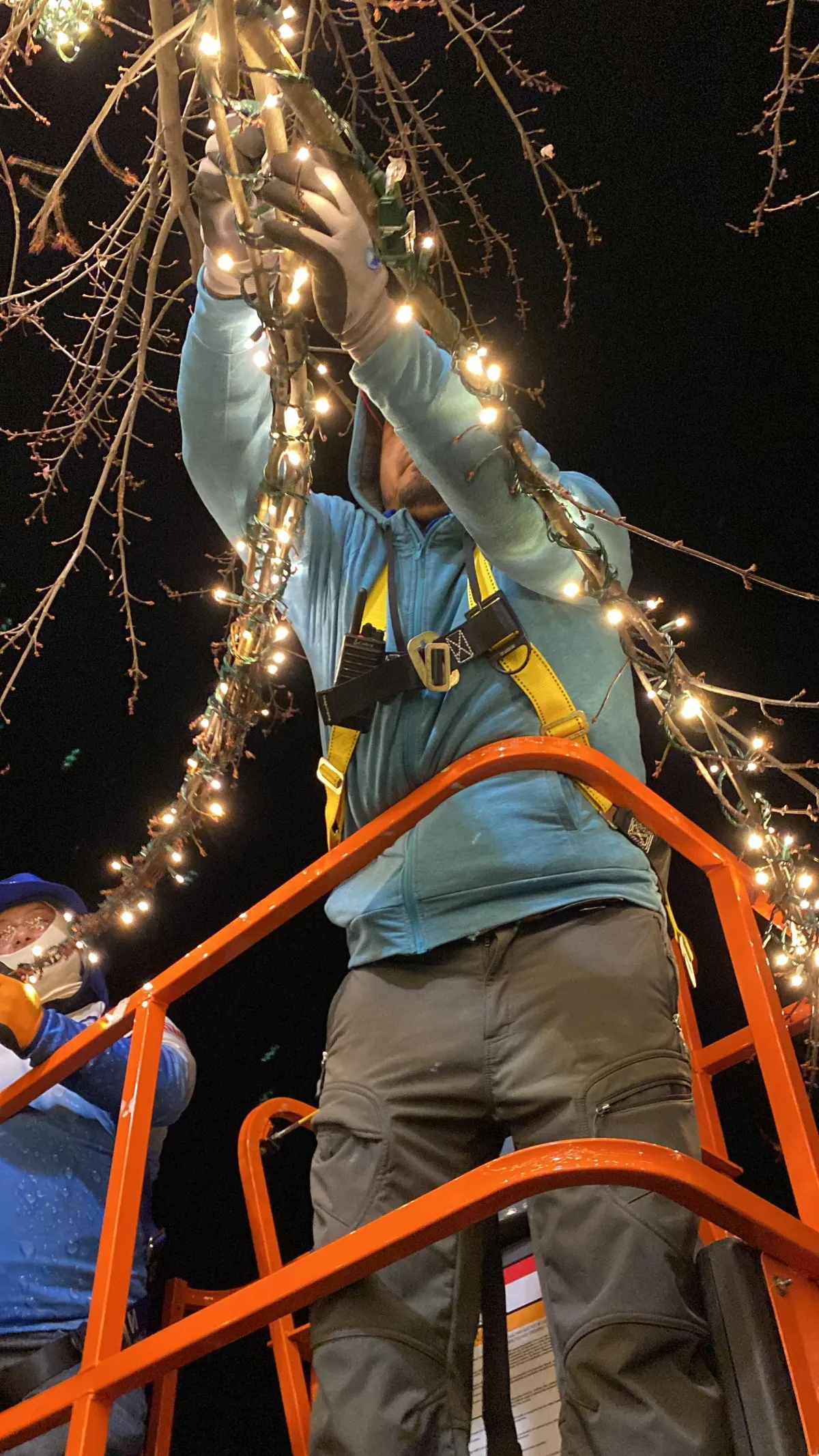 Christmas Lights