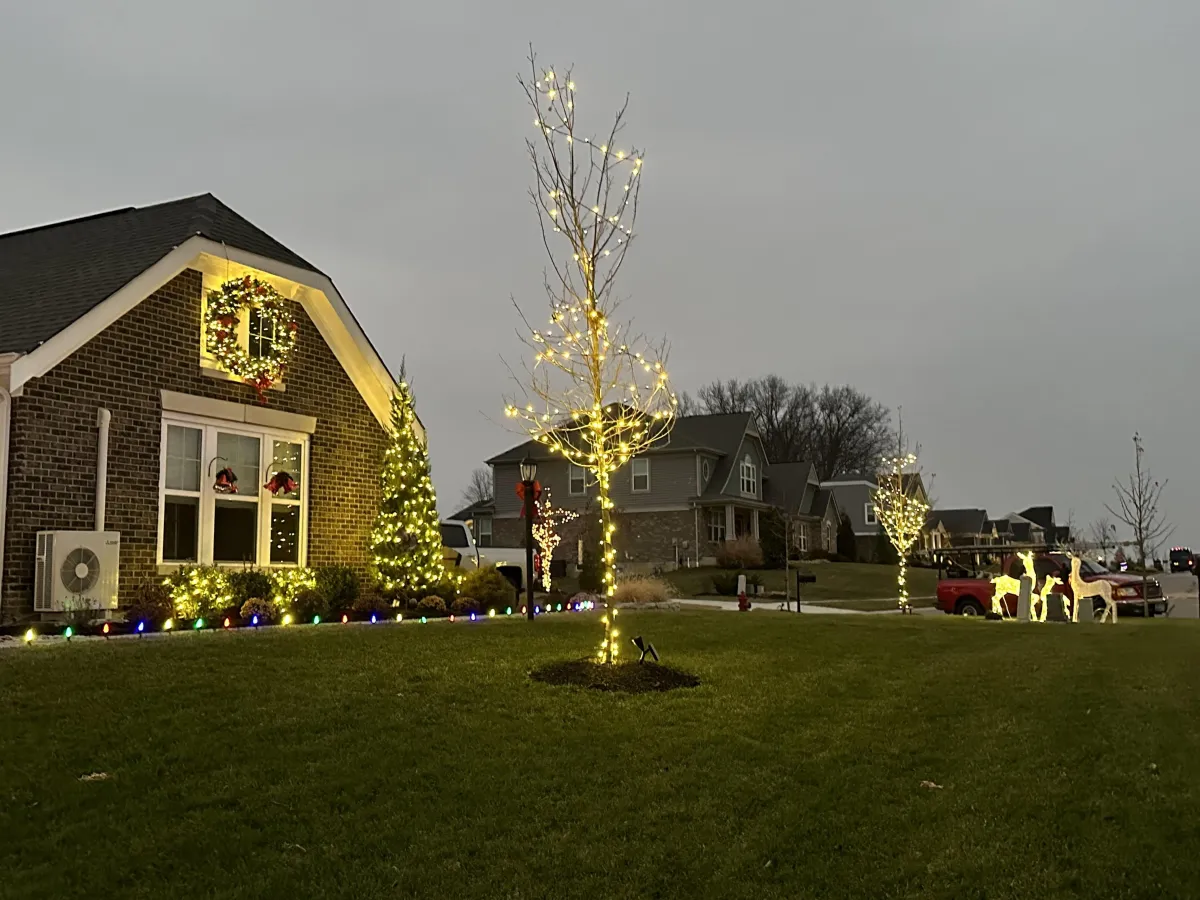 Christmas Lights