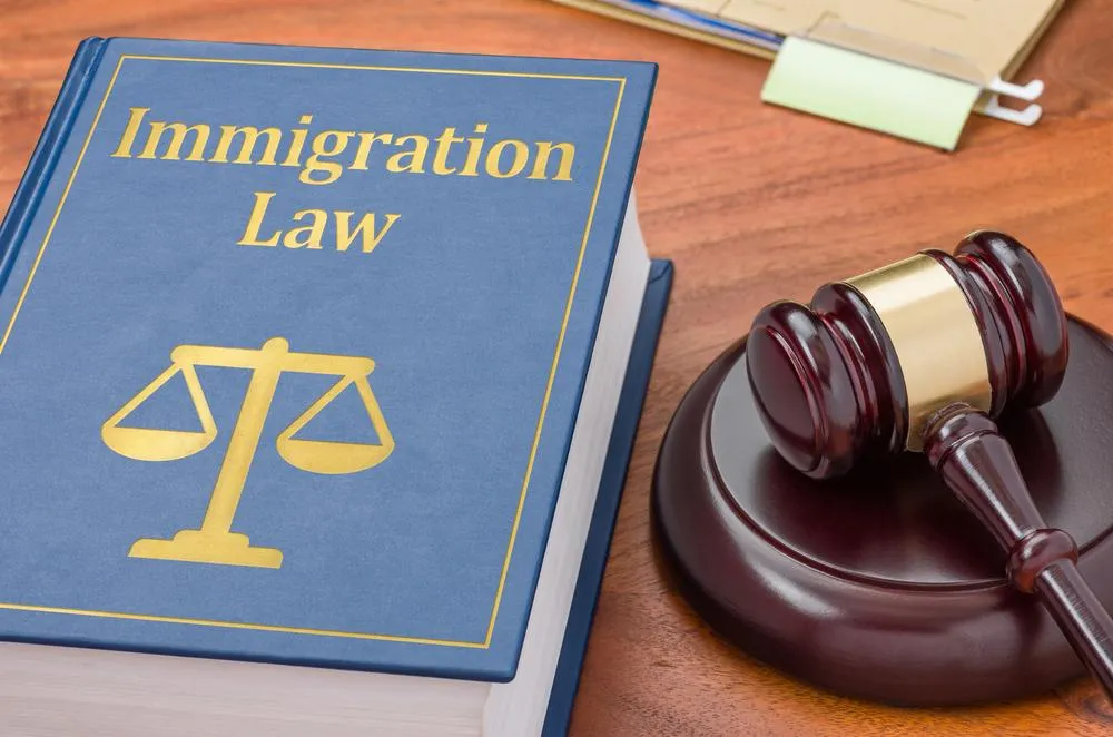 Major Immigration Law Reforms in SV