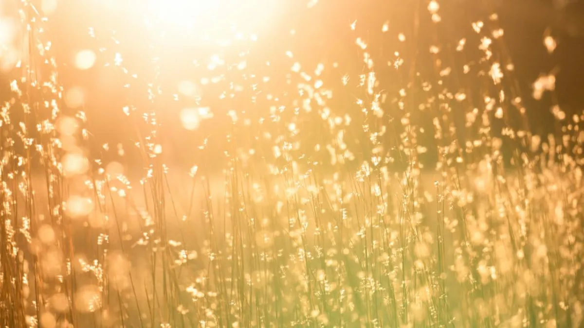 USE THESE 5 Q'S TO STRIKE GOLD WITH CLIENT REVIEWS