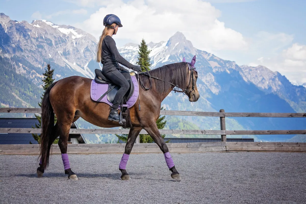 5 Hidden Causes of Riding Fear