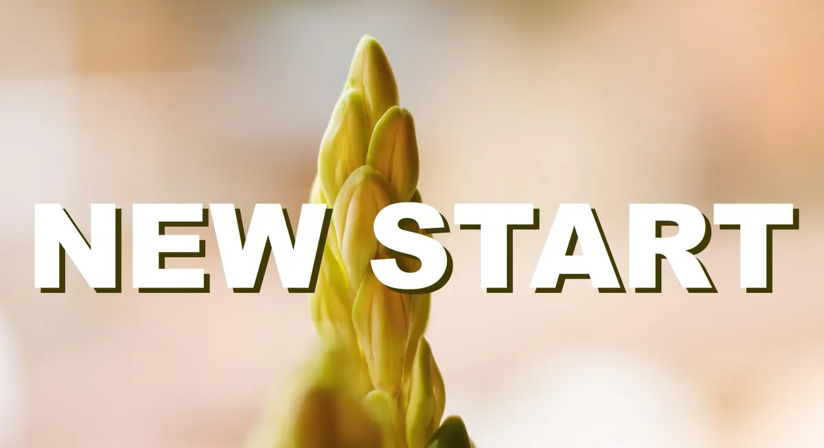 A "New Start" on a Healthy Lifestyle