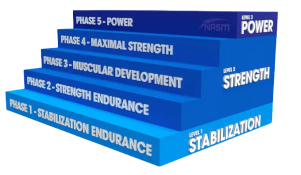 NASM - OPT Model of Training and Success