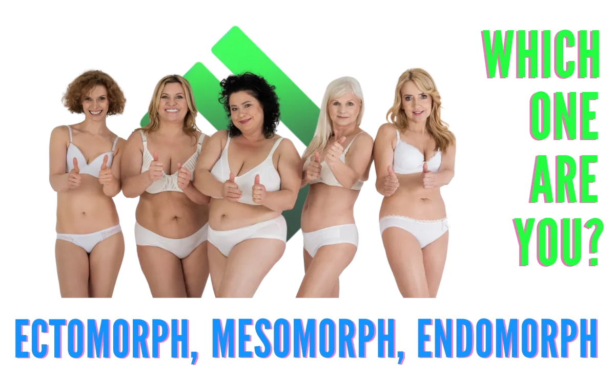 Which body type are You?