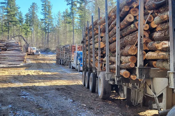 Shipping logs by road