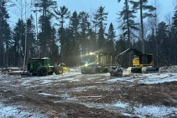 efficiency and transparency