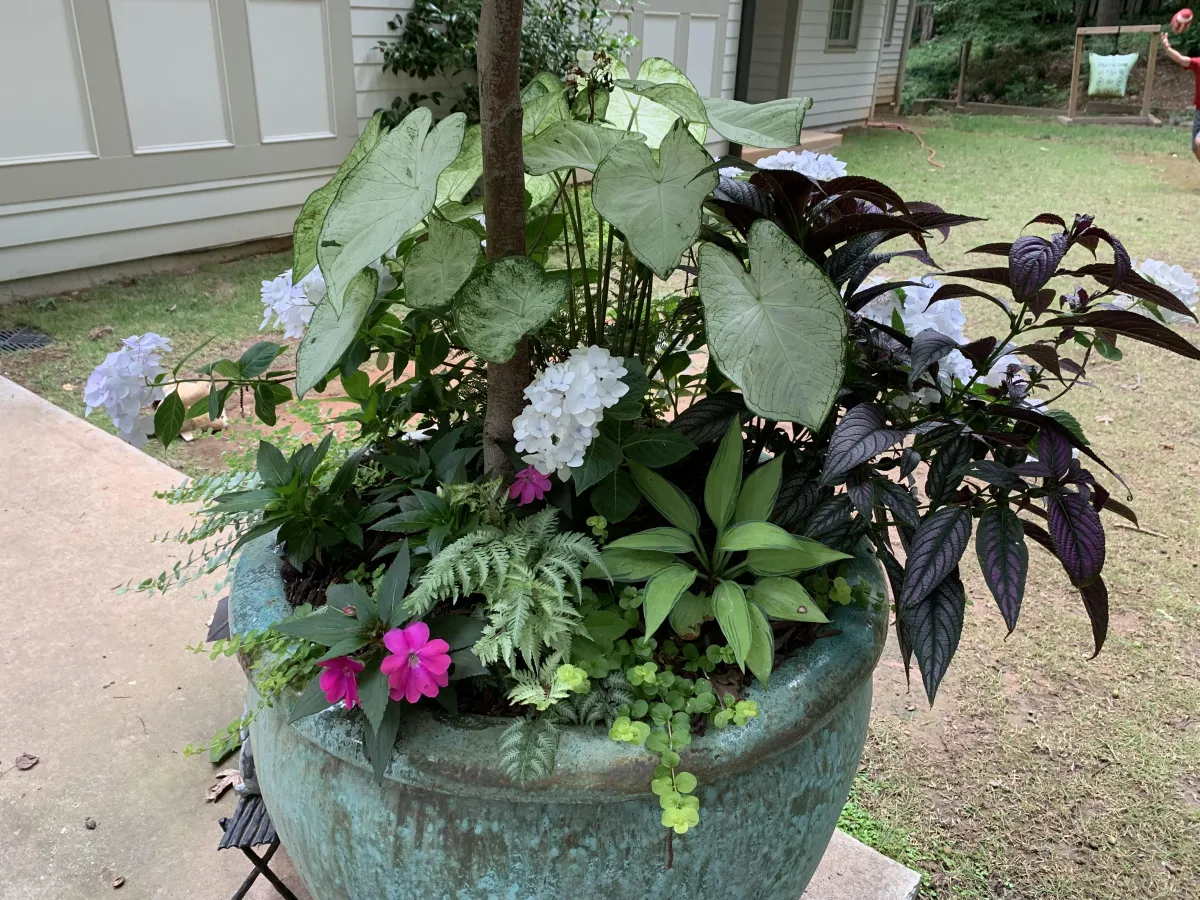 landscape-services-near-me