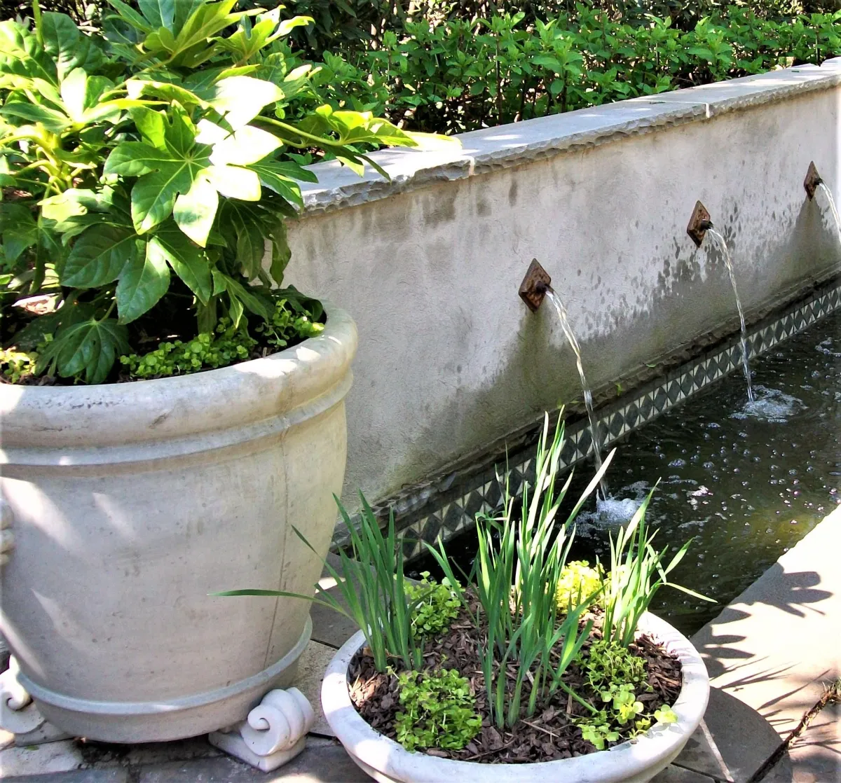 landscape-services-near-me