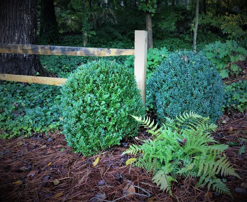 landscape-services-near-me