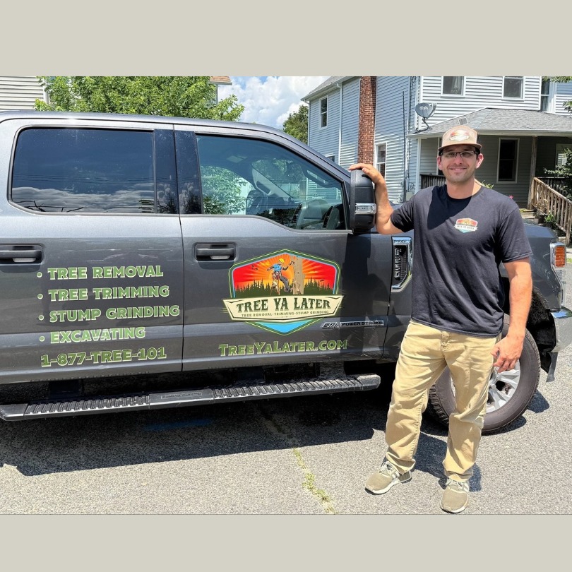 Spring Tree Care Checklist for Monmouth and Ocean County Homeowners