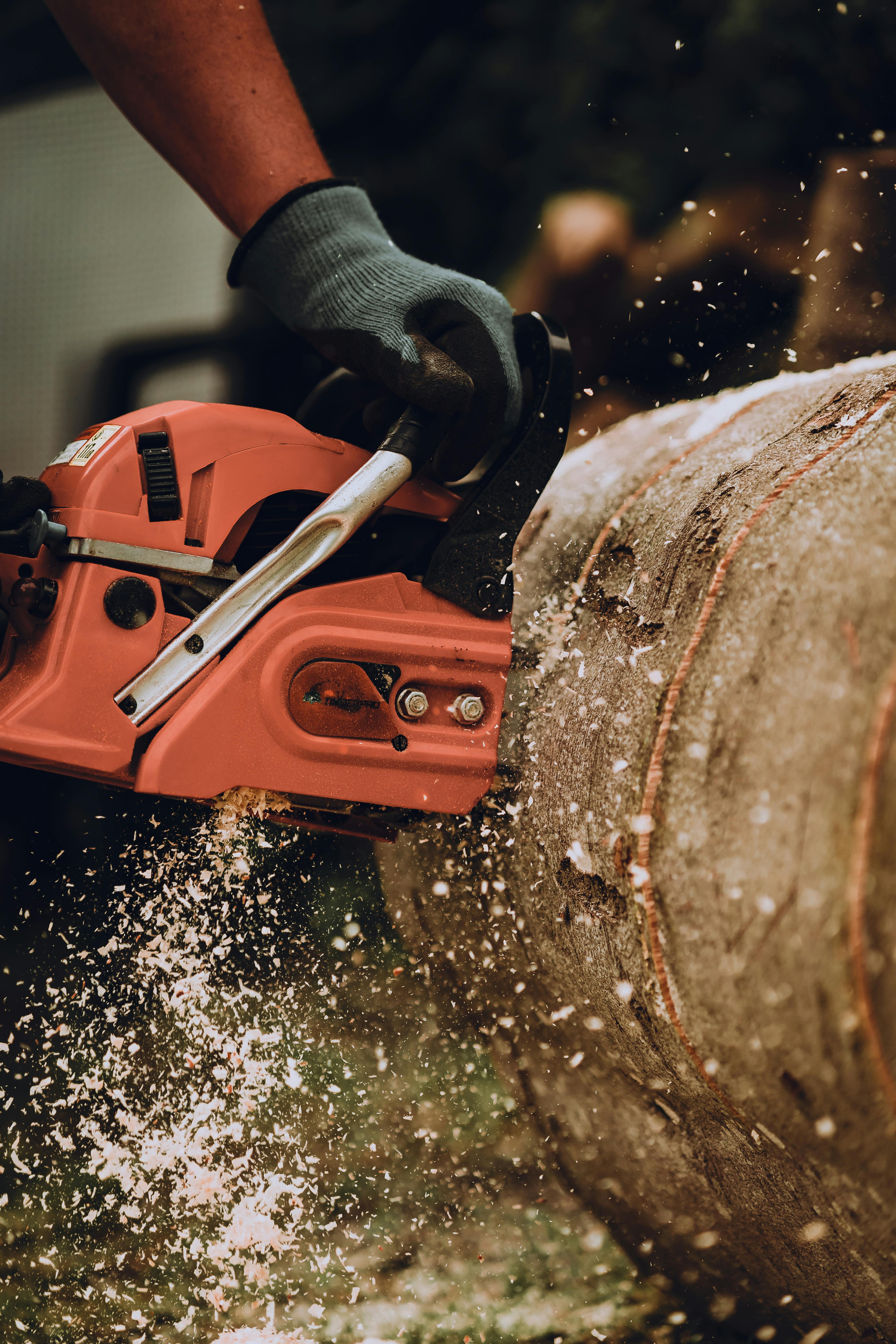 Firewood, Mulch & Recycling After Tree Removal — Smart Ways to Use Your Wood as Spring Approaches