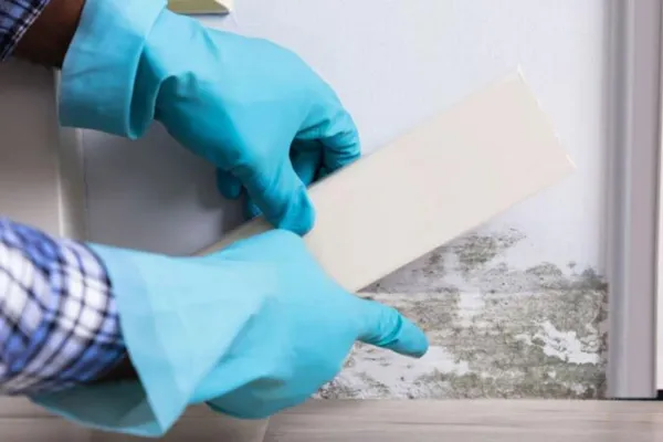 Mold Causing Your AFIB