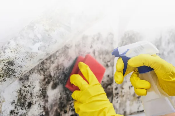 Mold Infestation and the Stack Effect