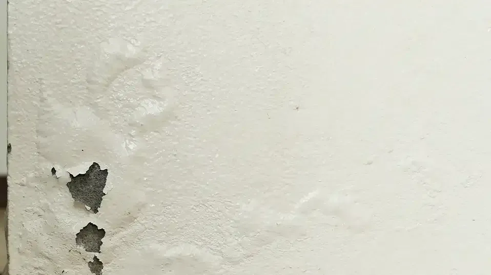 Water Damage on Wall