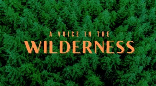 voice in the wilderness image
