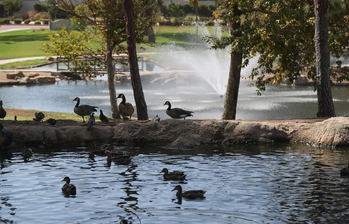 Your Slice of Chill in Costa Mesa: Why Tewinkle Park is the Ultimate Hidden Gem