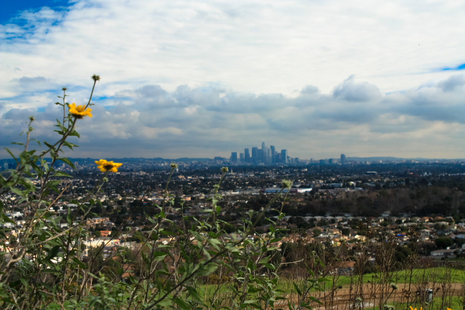 Baldwin Hills Scenic Overlook: Your Ultimate LA Adventure | Top Shelf Luxury Car Rentals, Los Angeles