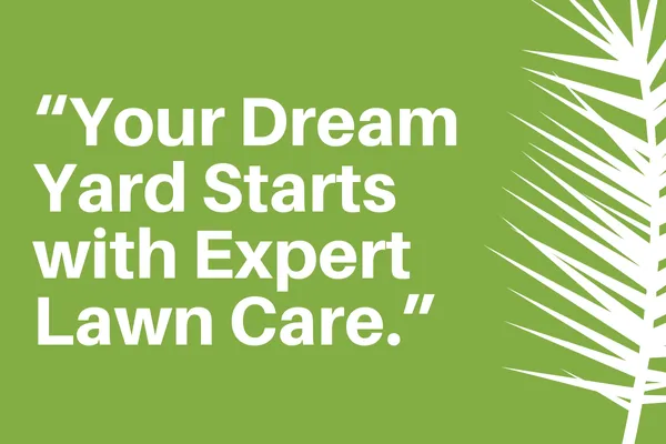 From Overgrown to Outstanding: How Professional Lawn Maintenance Transforms Your Yard

