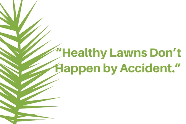 The Secret to a Healthier Lawn: Why Regular Maintenance Matters