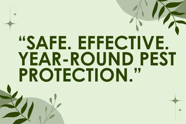 Protecting Your Home Naturally: The Benefits of a Professional Pest Control Program