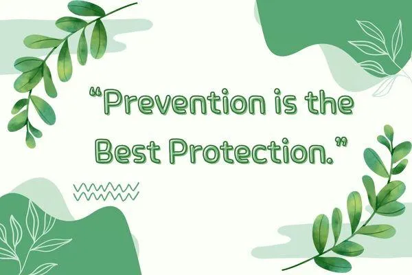 Year-Round Peace of Mind: Why a Pest Control Program is Your Best Defense