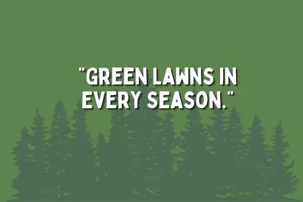 Keep Your Lawn Green Year-Round with Professional Maintenance