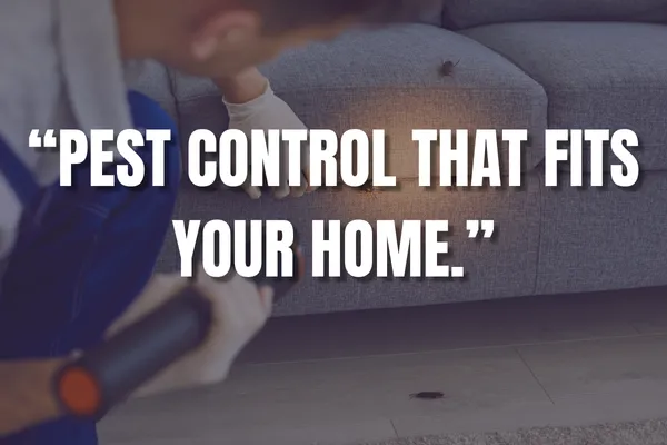 Technician inspecting a home interior for customized pest control solutions.