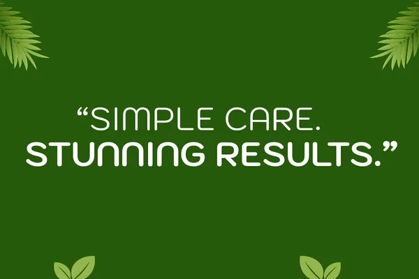 Professional Lawn Maintenance Made Simple