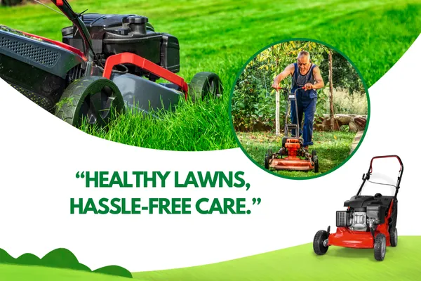 Comprehensive Lawn Maintenance Programs for a Greener Yard