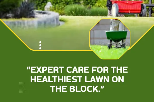 Professional Lawn Maintenance for Healthier, Greener Grass