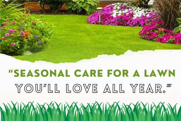 Seasonal Lawn Maintenance Plans for Lasting Beauty