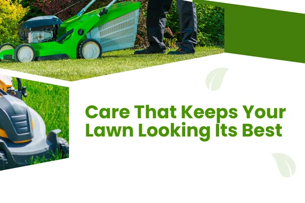 Year-Round Lawn Maintenance Services for Lasting Beauty