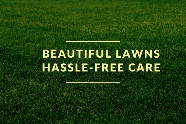 Complete Lawn Maintenance Programs for a Healthier Yard