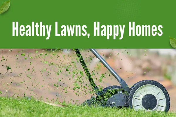 Comprehensive Lawn Maintenance for a Healthy, Green Yard