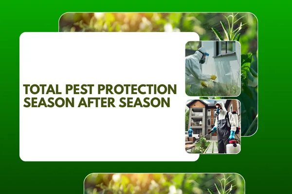 Comprehensive Pest Control Services for Year-Round Protection