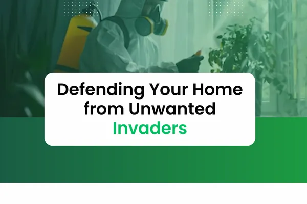 Effective Pest Control Solutions for a Safer Home