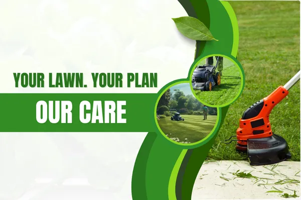 Lawn Maintenance Made Easy with Customized Care Plans