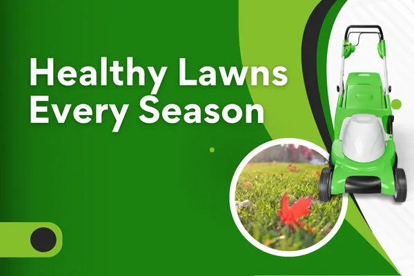 Seasonal Lawn Maintenance Services for Year-Round Beauty