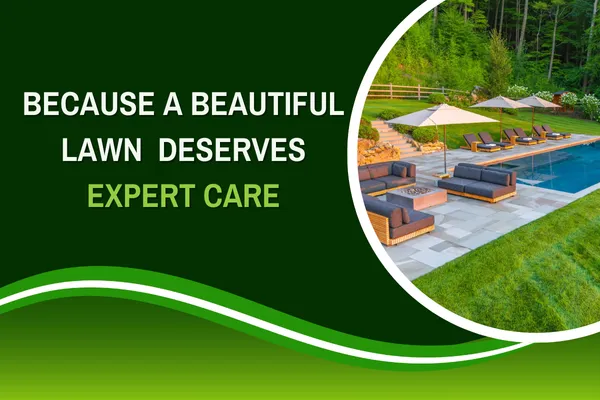Professional Lawn Maintenance for a Perfect Outdoor Space