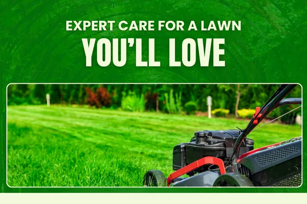 Comprehensive Lawn Maintenance Programs for a Beautiful Yard
