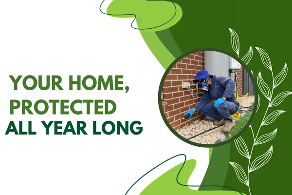 Year-Round Pest Control Programs for Complete Peace of Mind