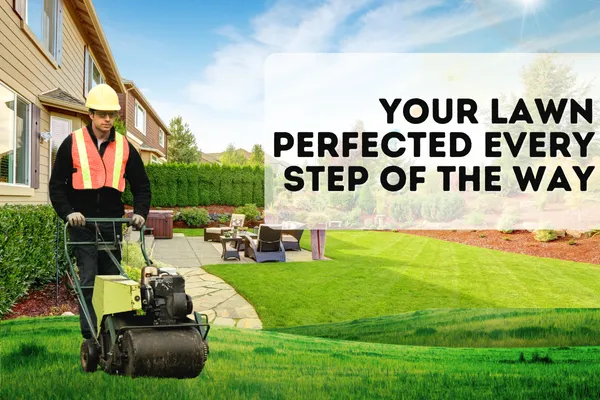 Complete Lawn Maintenance Services for a Lush Yard