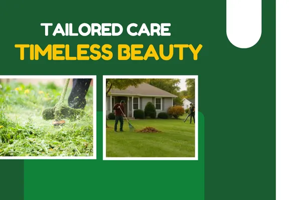 Tailored Lawn Maintenance Programs for Lasting Beauty