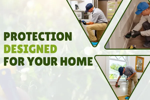 Tailored Pest Control Programs for Your Home